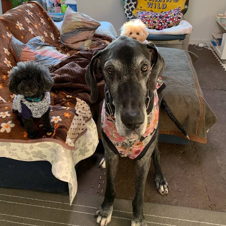 0d4609f3 b156 4ced 9b72 c0dff5c0b02c 1611268658538