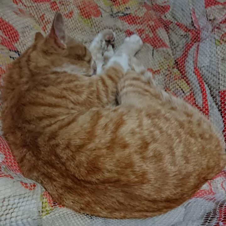 0d464907 265d 45a1 b973 9147a8747caf 1554994301935