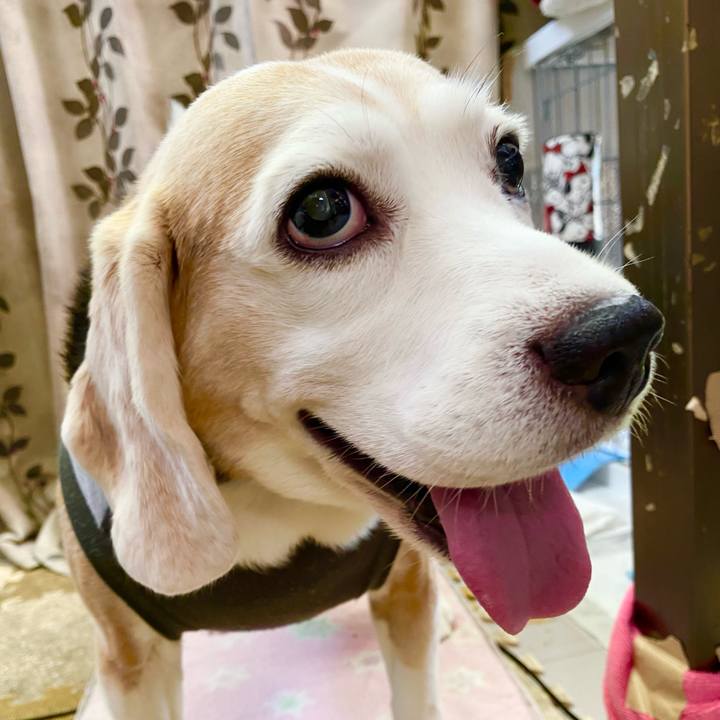 0d464cb8 1d35 48e7 9f3d 3cca53b0f10b 1634270522384