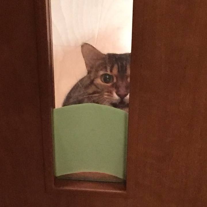 0d466811 5fdf 4644 9bd9 3cda59942ed5 1518314333649