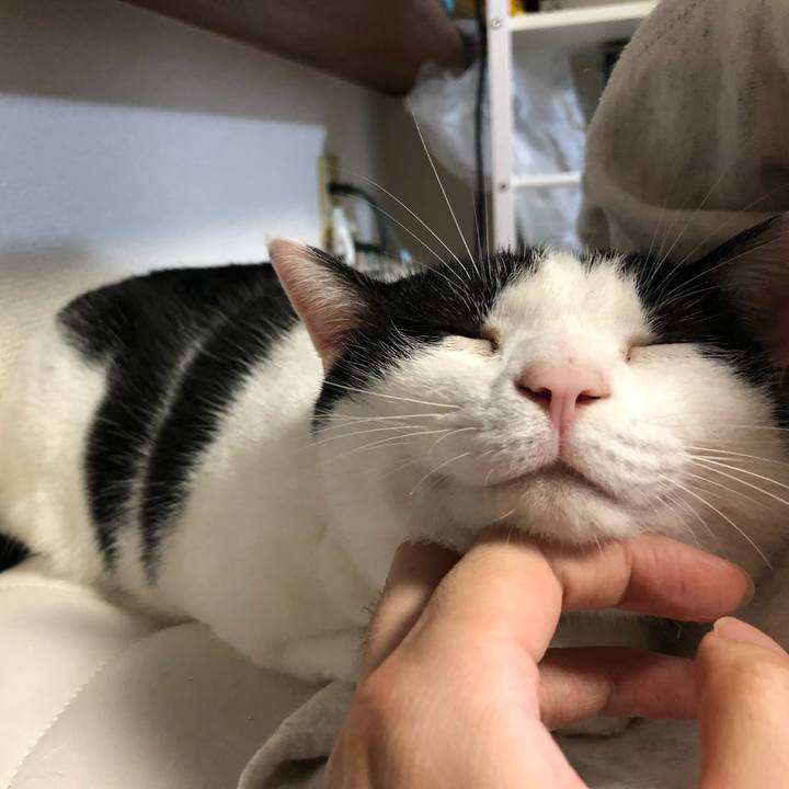 0d46809d 369c 4eb5 84bd 01bddce3928b 1571303205736