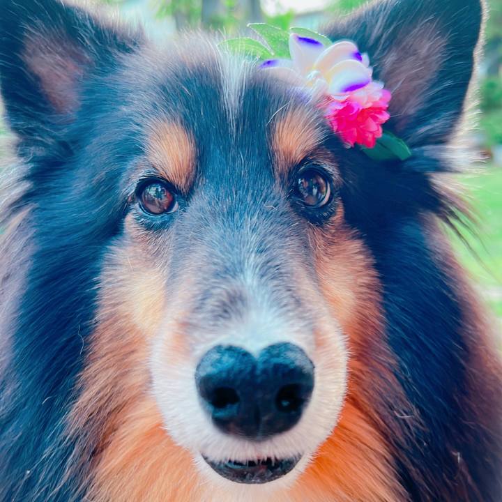 0d468b6d 31e8 4bf3 a4fc 5b4955445795 1685125657741