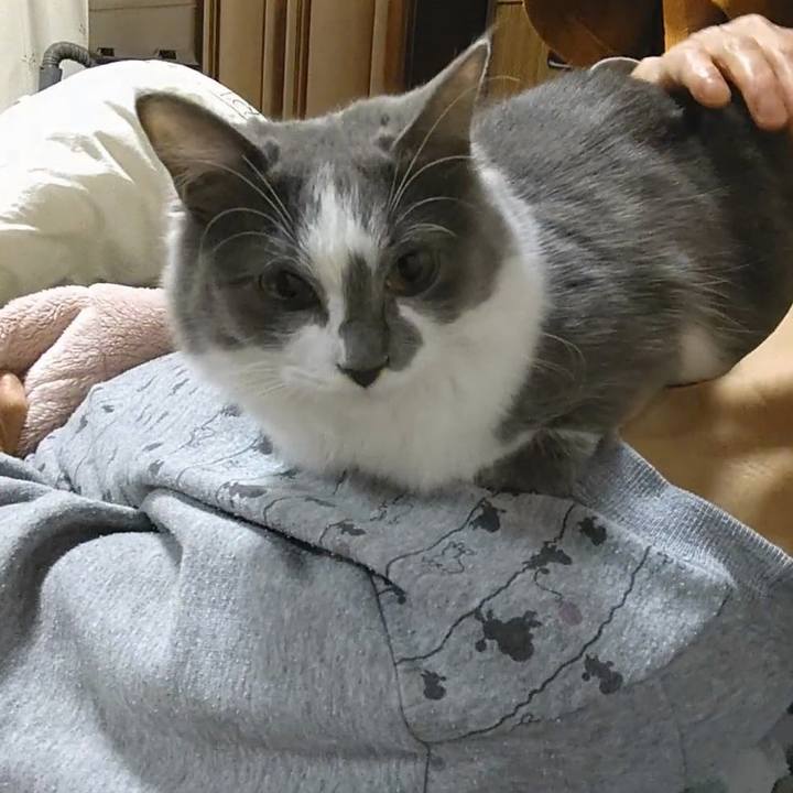 0d4691f7 f4f6 4e9c bd08 33f1af47db52 1573736632084