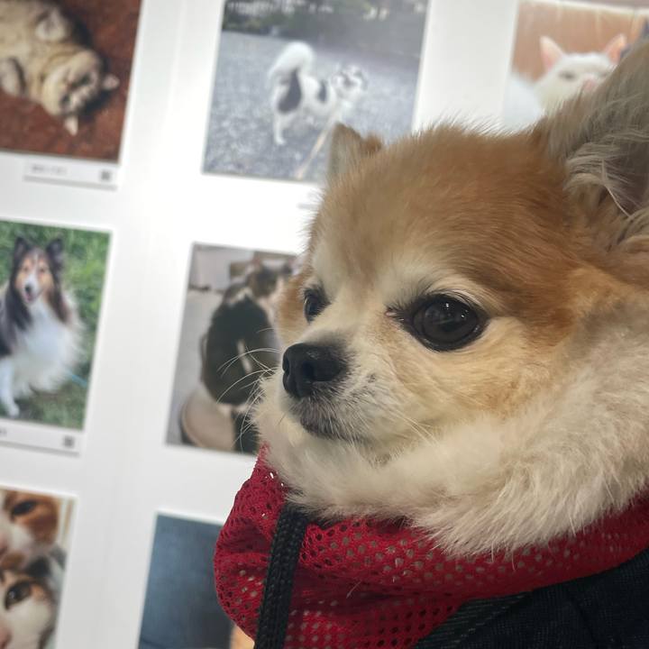 0d46ed54 dd54 4ee6 b29f b1168586fd34 1761374488319