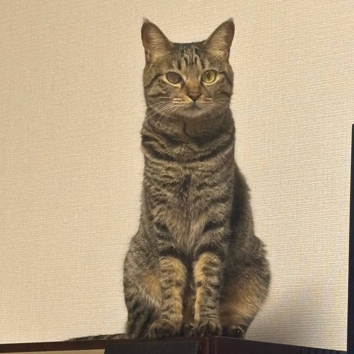 0d4716ab d59f 4e83 9f96 dc8440df7dc0 1757478229370