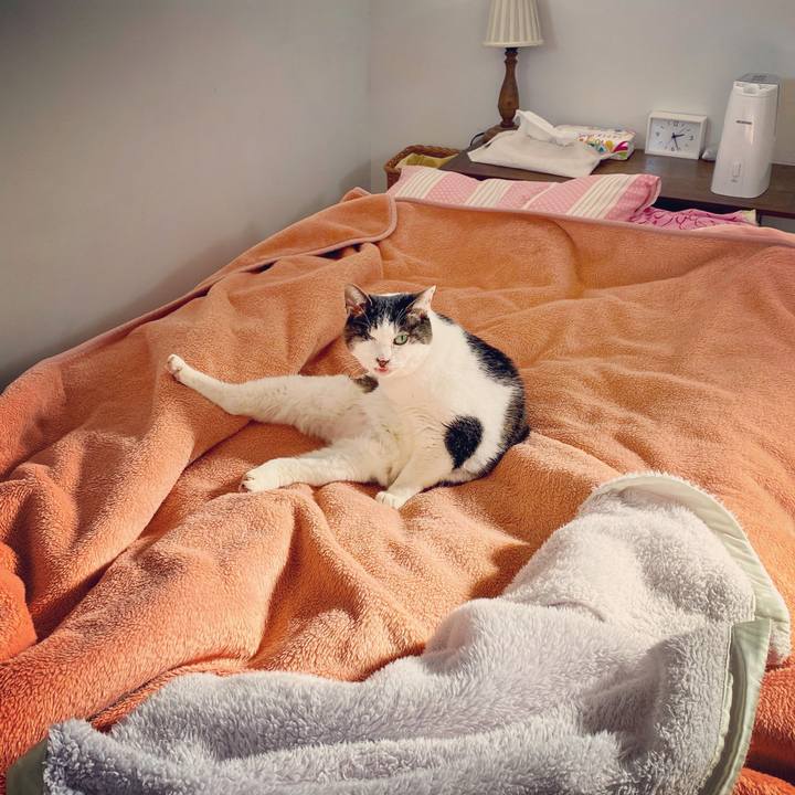 0d47189b b97a 4c5e a466 cad56ea2f4bc 1581398958383