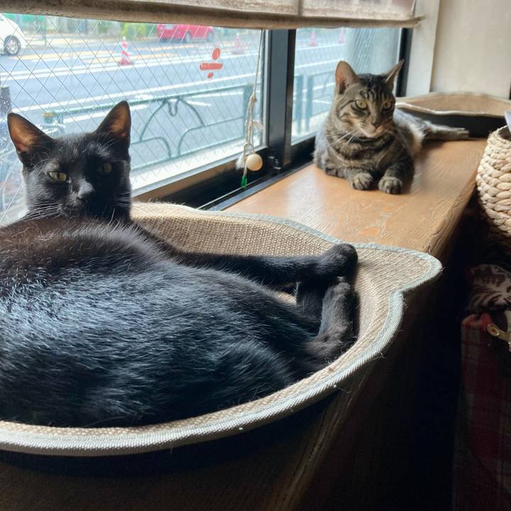 0d472afd f937 45b1 b4eb c19ae35d3c55 1690590478649