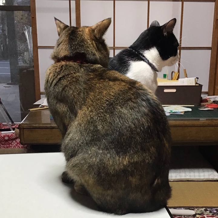 0d47342d 8be2 4fb9 b4e9 d0b63e6716a8 1637826955512