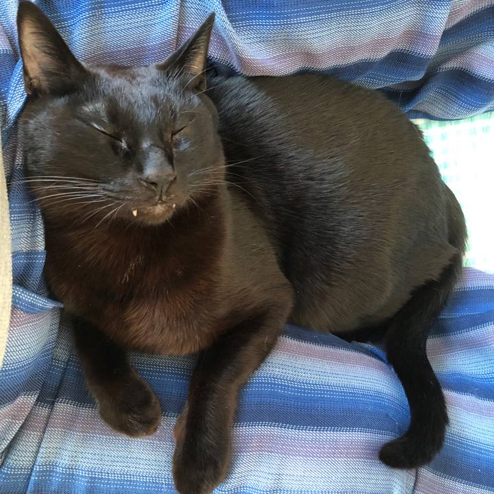 0d47c8be ee1e 4804 a8e4 b219a9fe2b9f 1740378627923