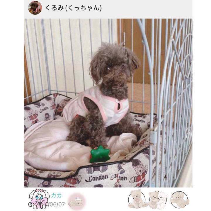 0d47d844 f9dd 40ab 9fca e27e65e1cf7f 1749288344324