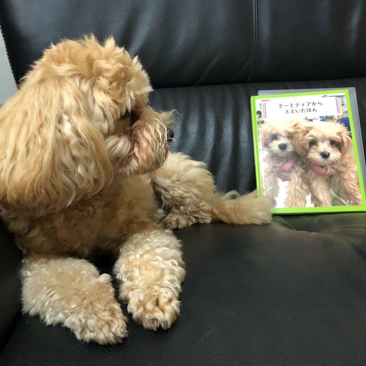 0d47df92 0c90 4e77 8d0e 734ea069db08 1625058137372