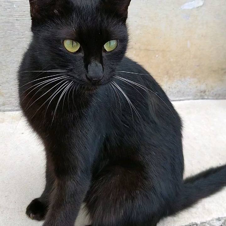 0d47e93d 383b 4b0d 85e6 41e788f8cbba 1599361636224