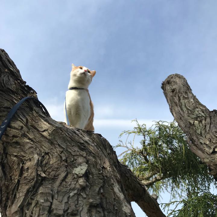 0d47eb61 347d 44e8 9ea5 731ec9dd8152 1522907523384