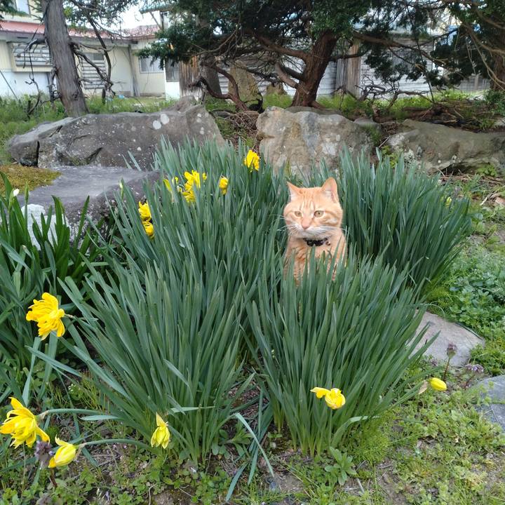 0d48620c 6019 4638 b867 aba0f76a40cd 1682288734354