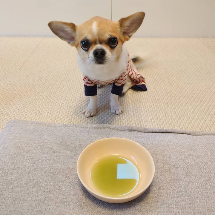 0d486fde 8188 405e a444 60230a012394 1681518379852