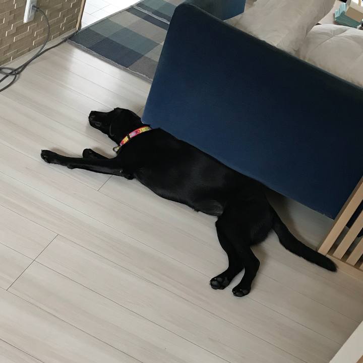 0d48ff06 d160 494b aebc 08c6afa9a017 1535409462312