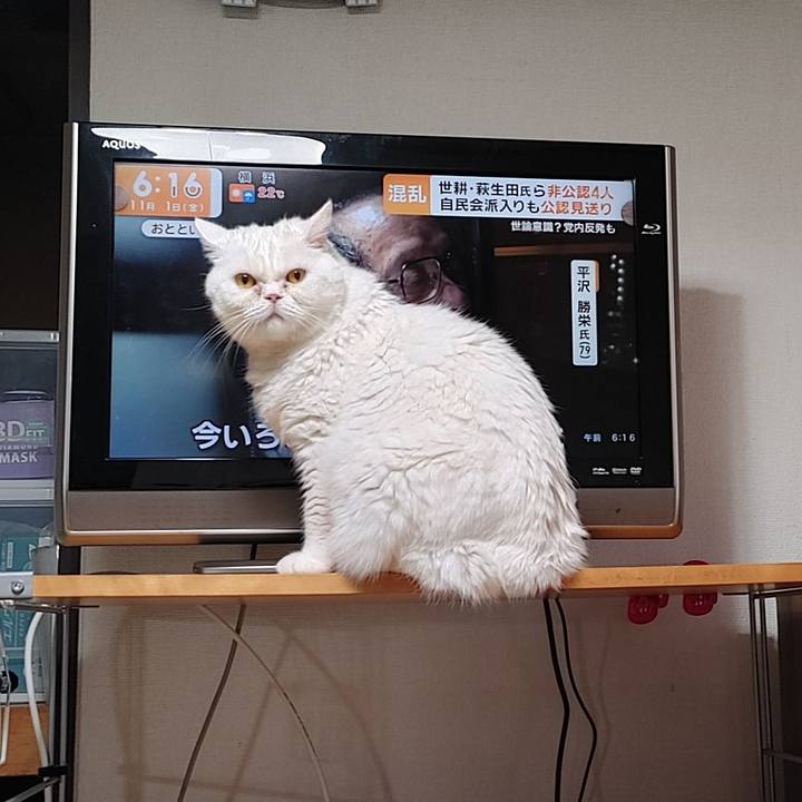 0d49011b 2d43 4adf 9b16 a949b3933d92 1730433010027