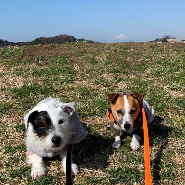 0d490372 fcfa 49b8 a332 a3863756f9c6 1551748989806