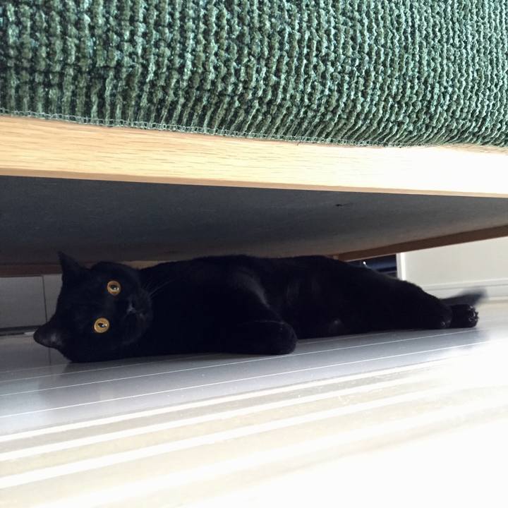 0d491946 36d9 4285 bbbe ee9ff186732f 1587944767845