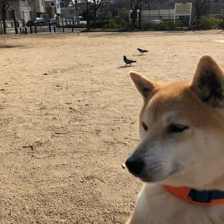 0d492c08 c111 4765 8e71 e916f19e76ff 1551918394720