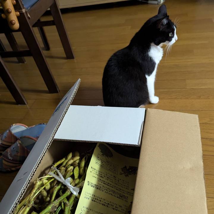 0d49a285 5fd8 4d5f 97ce c45c979d4309 1730014026998