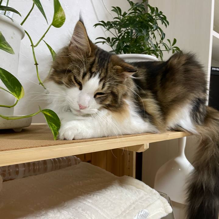 0d49a604 e2bc 45fd 93a1 164da33b7e1e 1640641583698