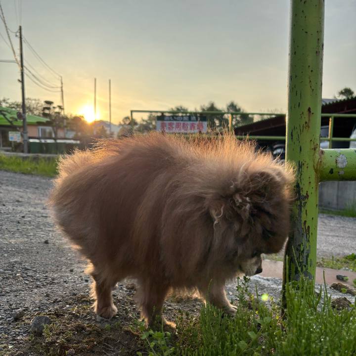 0d49aa0f 9352 4682 9e1d 88a910b8afae 1747426164671