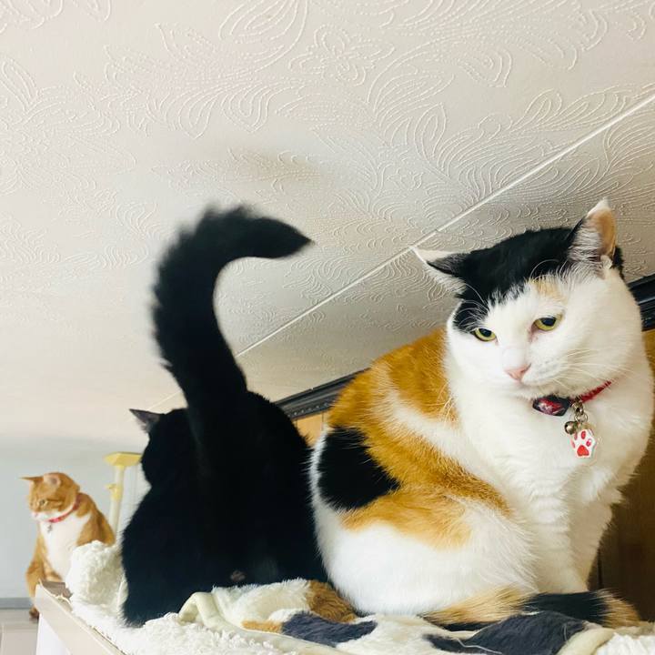 0d49c526 f846 4ec3 82fd dd3e21fc652b 1735688357152