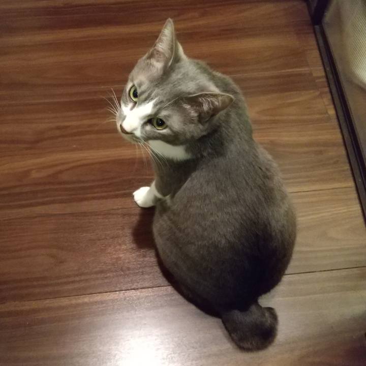 0d49c57c 1735 4a3b 98e3 0400f60a94bc 1616415567648