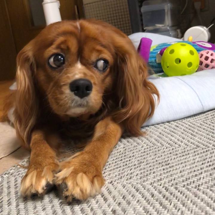 0d49d4ff bc76 4cea afac 10e10e1df609 1599084810254