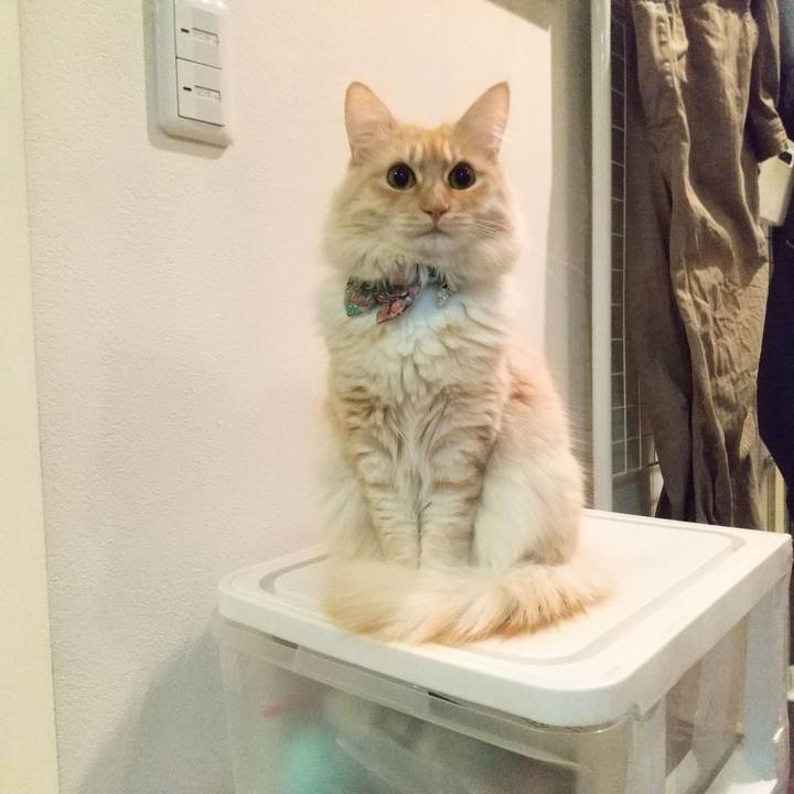 0d49e304 3c71 48af a077 1ec37d3bfc78 1643578798629