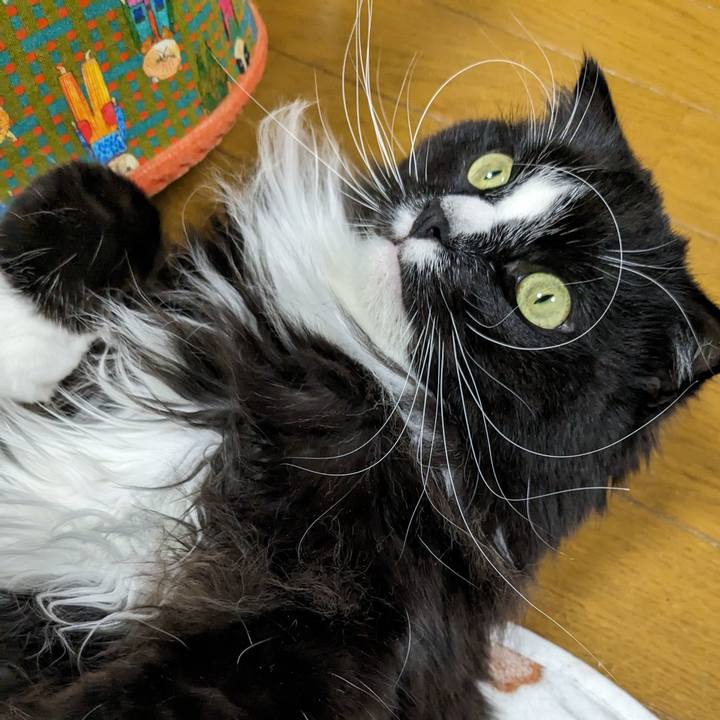 0d4a1611 c248 4f32 803d 28e9f0751423 1707812731103