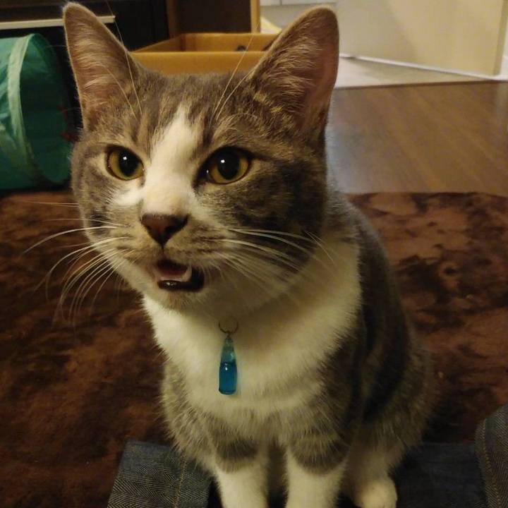 0d4a27c2 8fbb 45f5 bfe3 8d7b6a2d0a9e 1577181872681