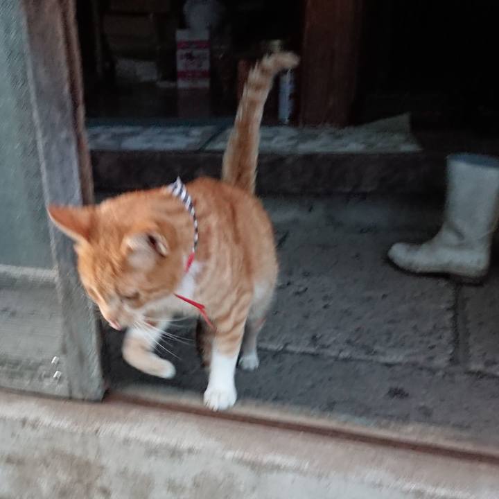 0d4a3ab1 3cb3 40ff afa9 4dabbfdfd500 1569402174043