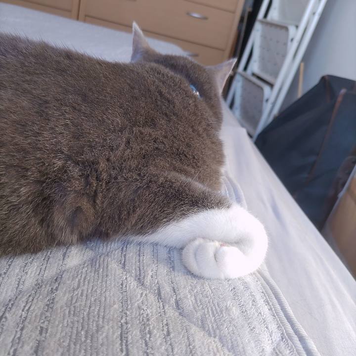 0d4a578b b883 4066 a486 7e2670d44680 1719006851065