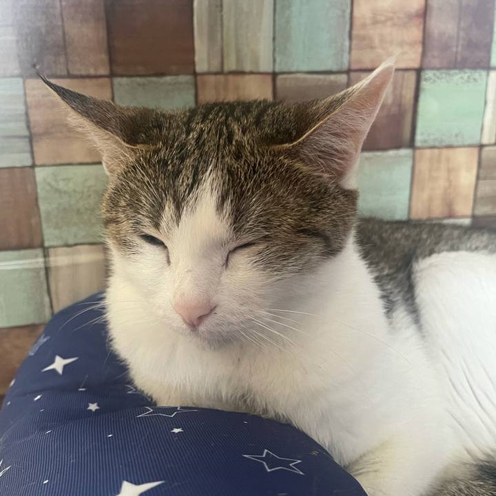 0d4ad174 4262 4531 b753 59f10859c5be 1624148152942