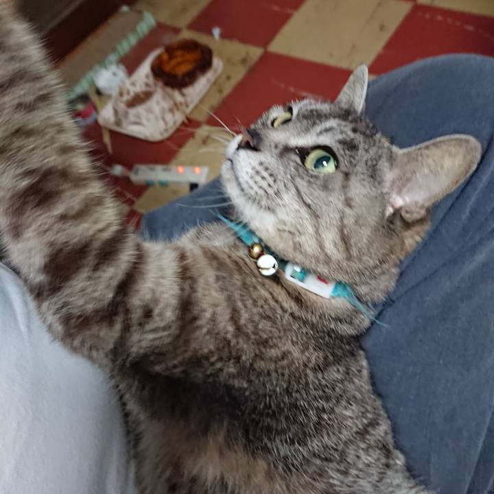 0d4b0377 6bb7 4b61 aa86 133691015437 1559128641943