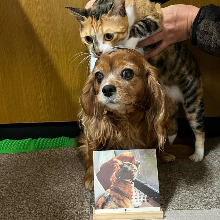 0d4b2838 d747 49f6 8a4b 52dc6dc05da5 1706740448606