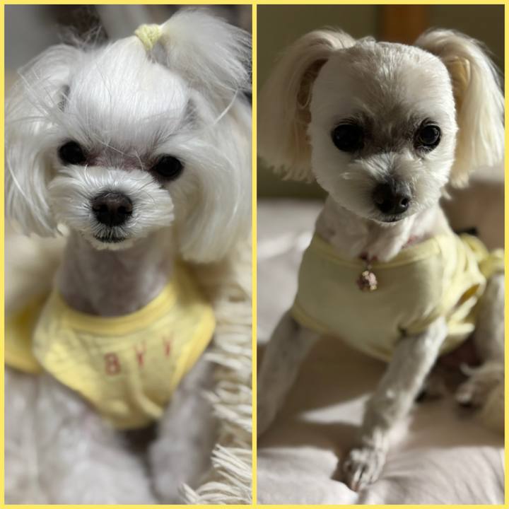 0d4b42ab b241 4684 a277 5f70dad13e0d 1744980165280