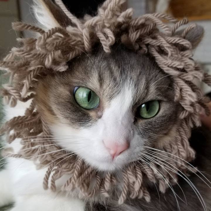 0d4b4cf1 752f 49ad a683 4f6db9c9df18 1554428509542