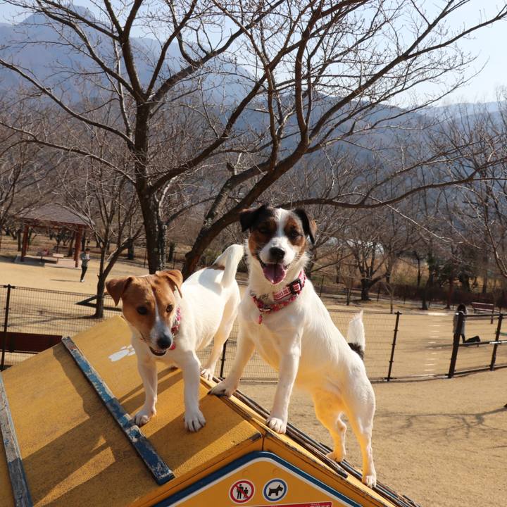 0d4b58a8 fdaf 4c01 9e81 013d8d2afc53 1519464129062