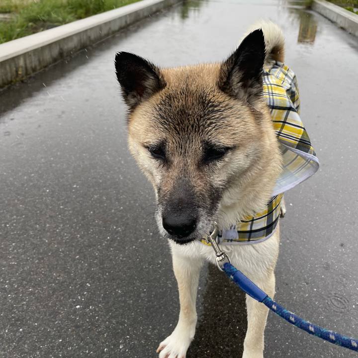 0d4b6fad ad59 4d62 b74e 1402755479d7 1683974125515