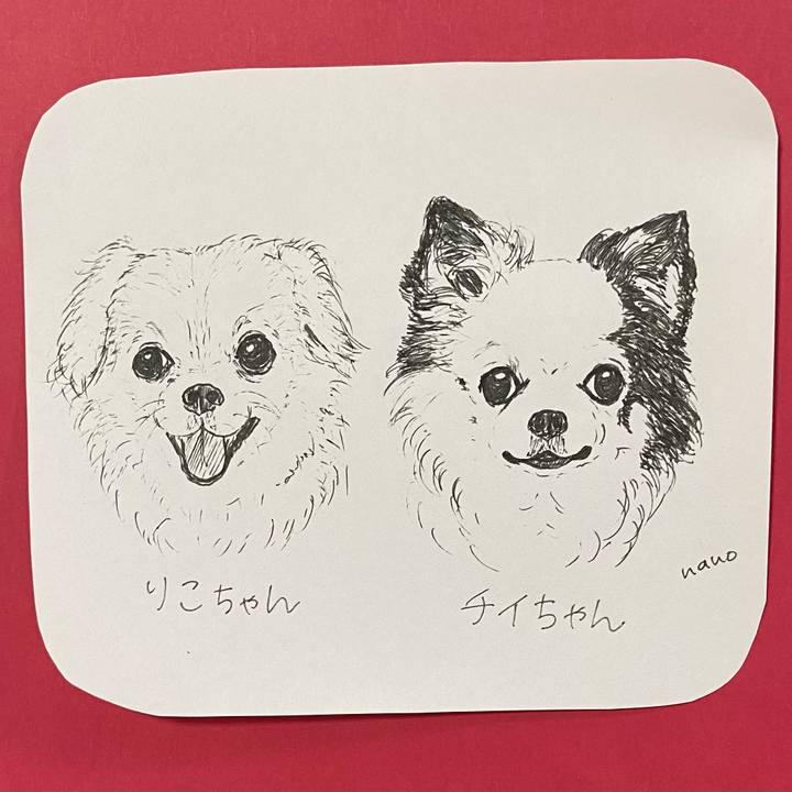 0d4bcb29 5263 45ae afc3 55e956a43607 1632050251799