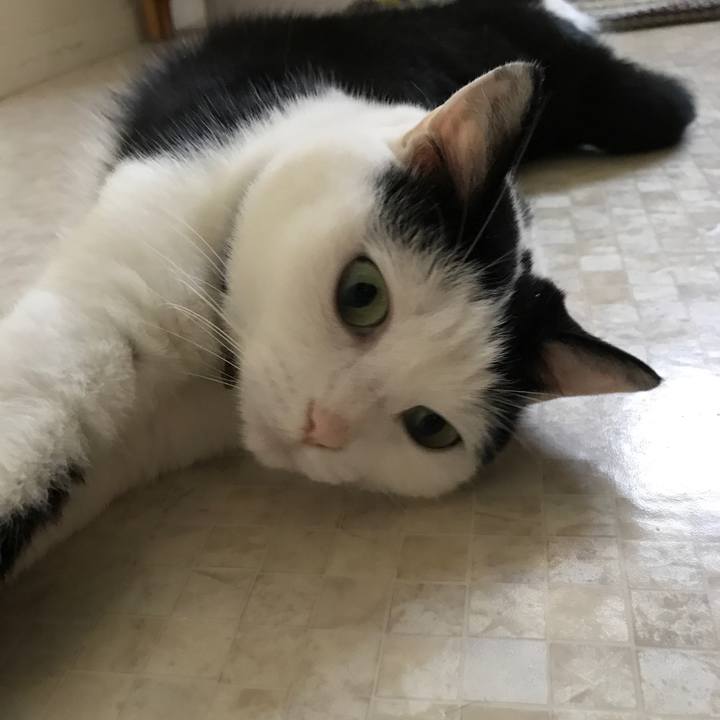 0d4bcef1 8338 4ef3 991f c2704fa7f4d9 1529234966662