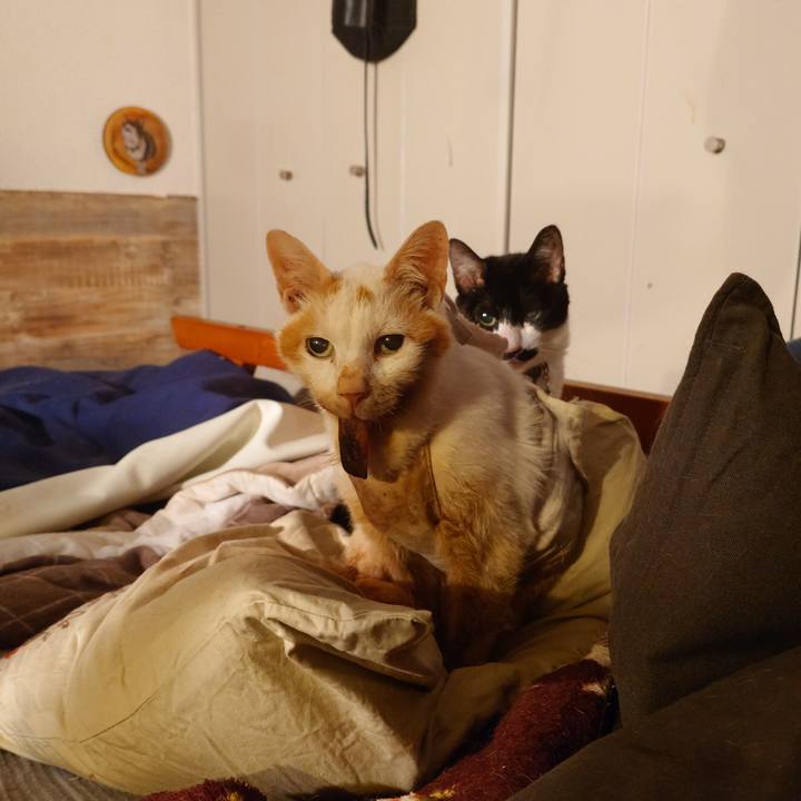 0d4be6f4 8983 4741 baa9 0ac117910a68 1773407357077