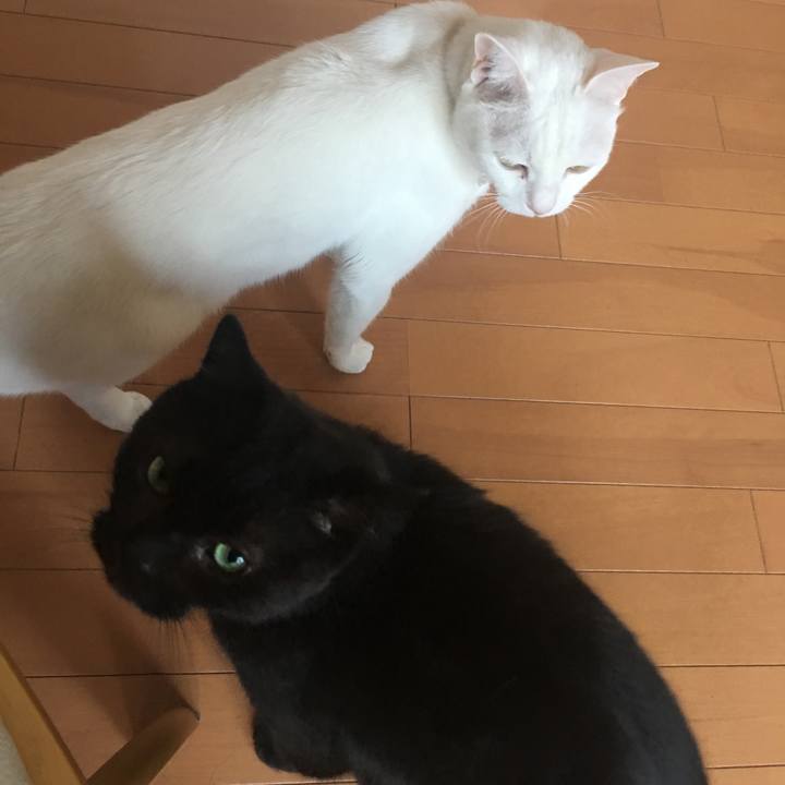 0d4bef14 1de8 4a70 937c f12484c62439 1527929398602