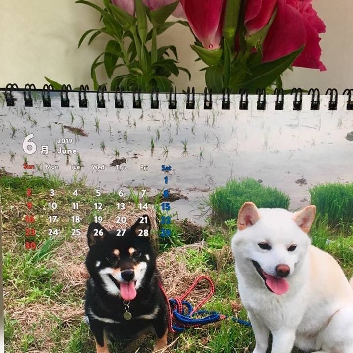 0d4bf42b 6e64 436c a4fe 287de87864c7 1559451367389