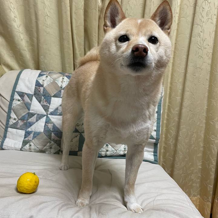 0d4bf72f 3086 4a09 8b52 ba83ee2e38d2 1671698549659