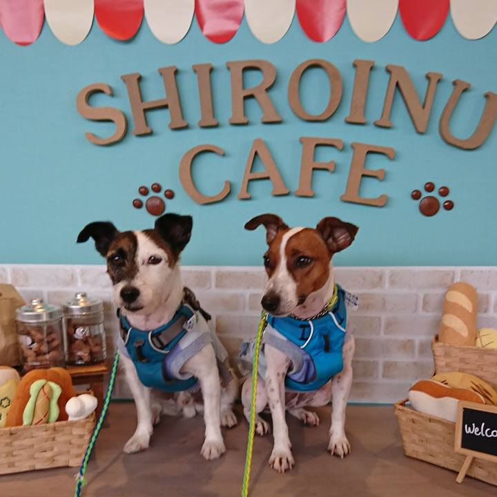 0d4c161c 7ee4 4214 bc62 09482258fc5c 1561621354054