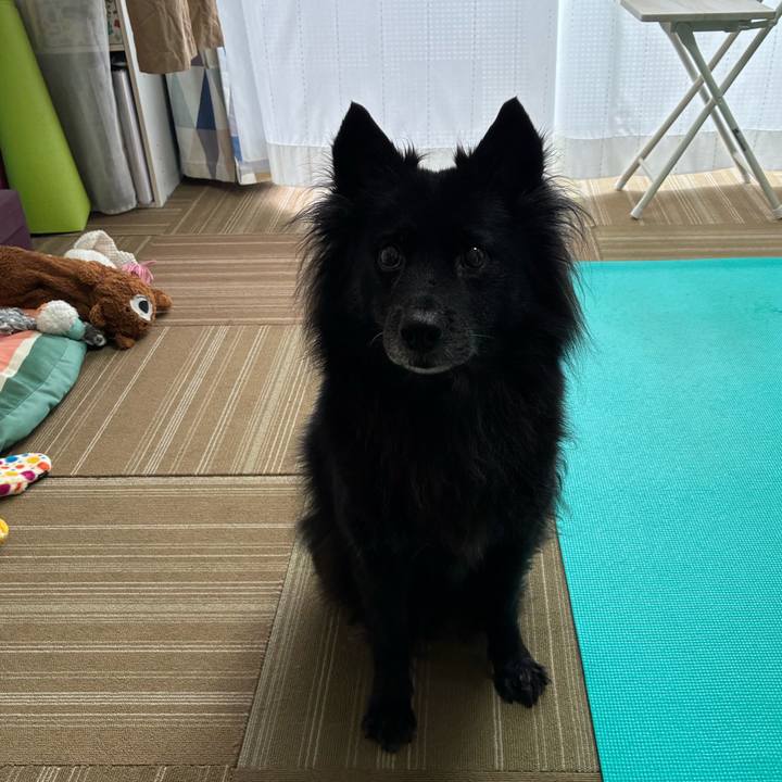 0d4c3435 f9ae 49bb bd29 b1b3e27f600f 1758240653495